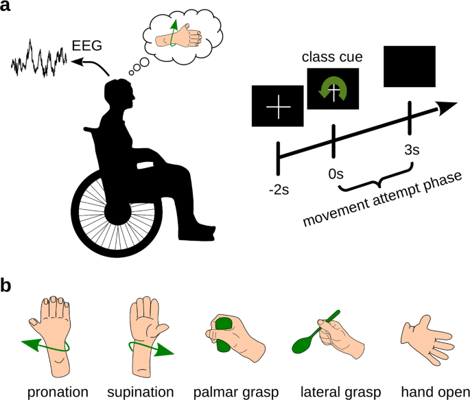 Hand Movement Recognition Using EEG Brainwave