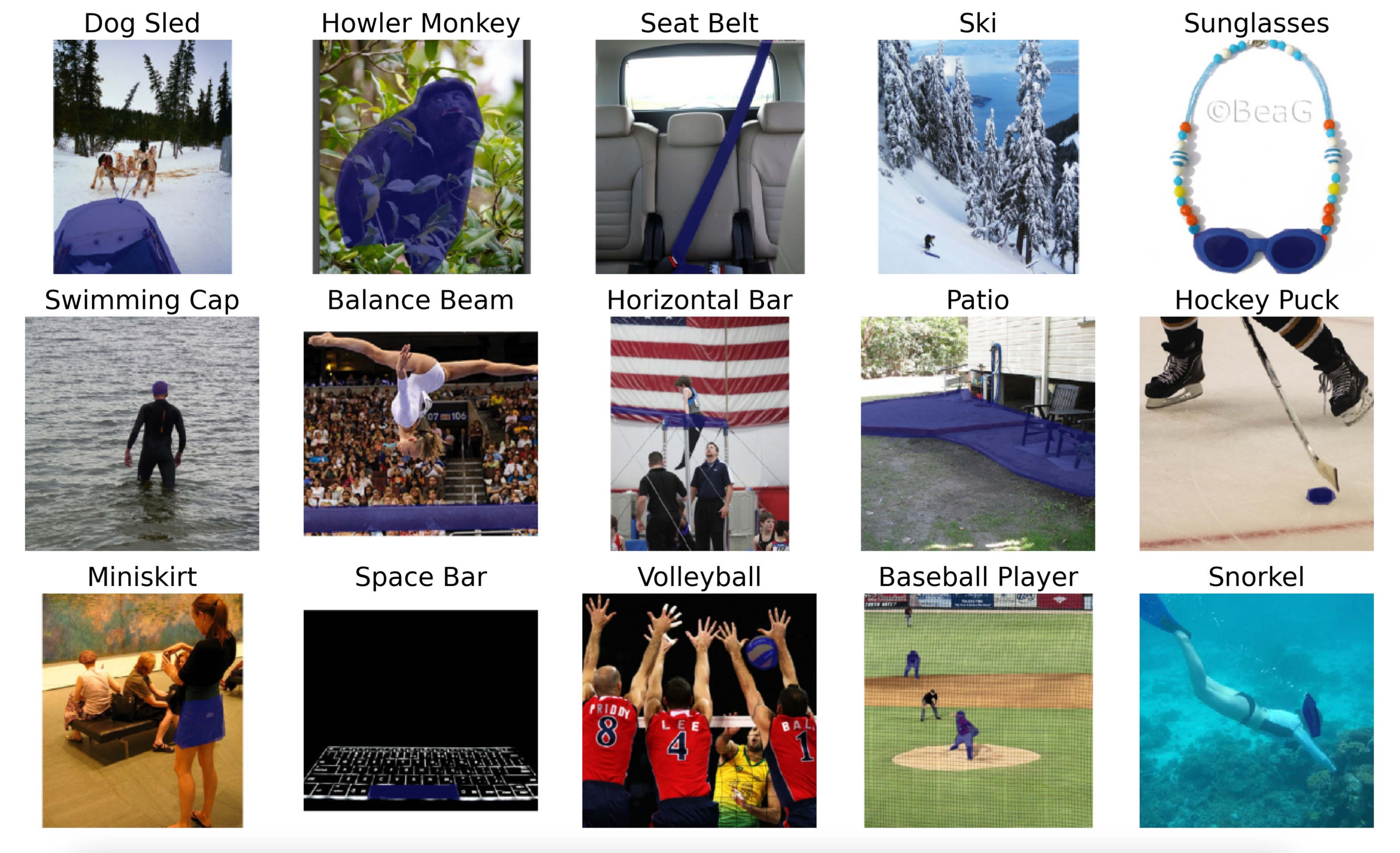 Multi-Class Classification on Sport100