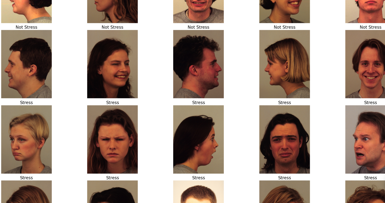 Virtual Emotion Detection Using YOLO